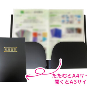 blackfile_a3_doublepage_file