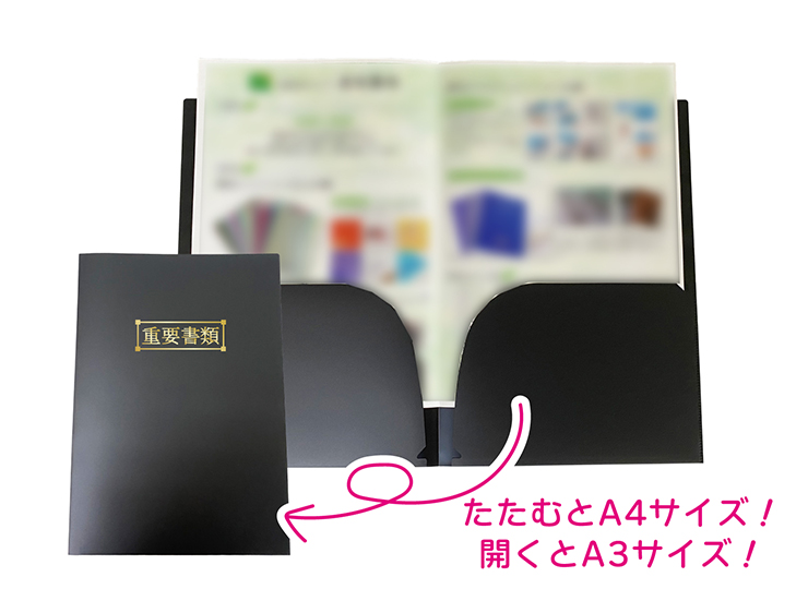 blackfile_a3_doublepage_file