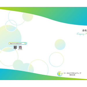 flyer_company